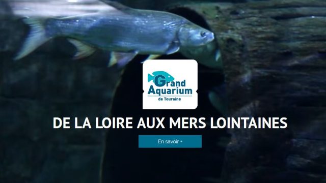 Le Grand Aquarium de Touraine